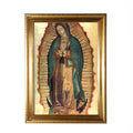 Our Lady of Guadalupe Framed Print